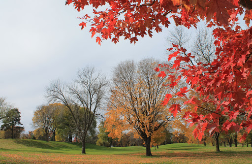 Golf Club «Golden Valley Country Club», reviews and photos, 7001 Golden Valley Rd, Golden Valley, MN 55427, USA