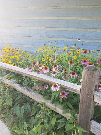 Park «Falls Park», reviews and photos, 460 Falls Park Dr, Pendleton, IN 46064, USA