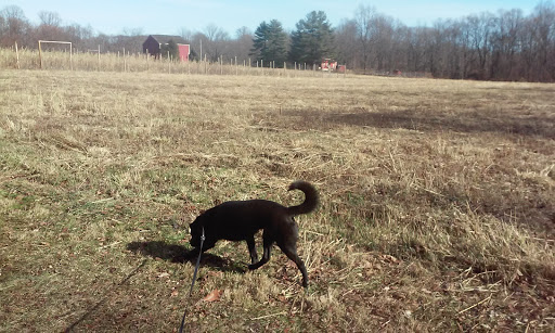 Park «Poricy Park Nature Center», reviews and photos, 345 Oak Hill Rd, Red Bank, NJ 07701, USA