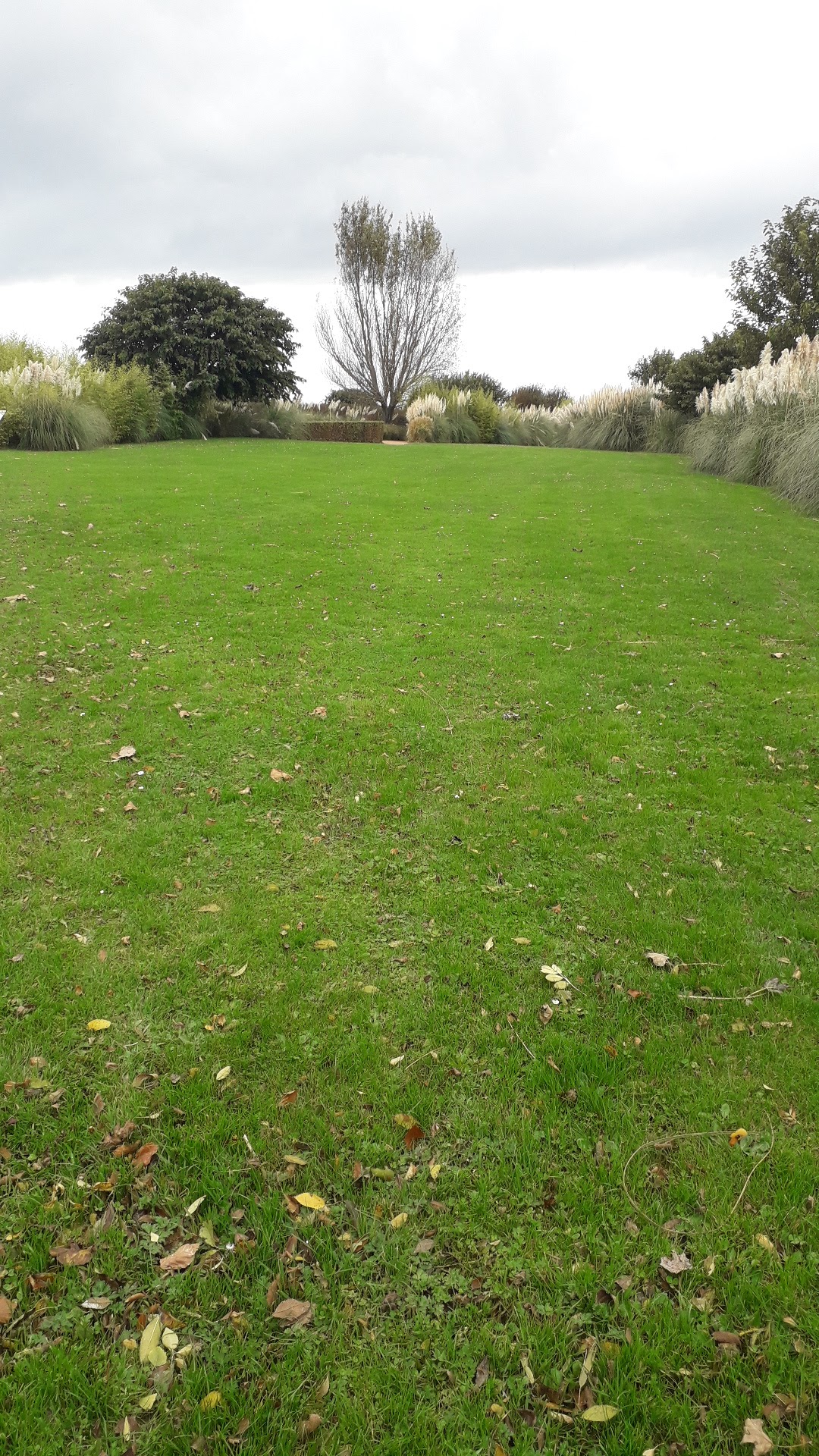 Photo n° 1 de l'avis de nanau. fait le 29/10/2021 à 10:49