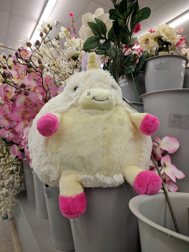 Craft Store «Michaels», reviews and photos, 861 Williston Rd Ste 1, South Burlington, VT 05403, USA