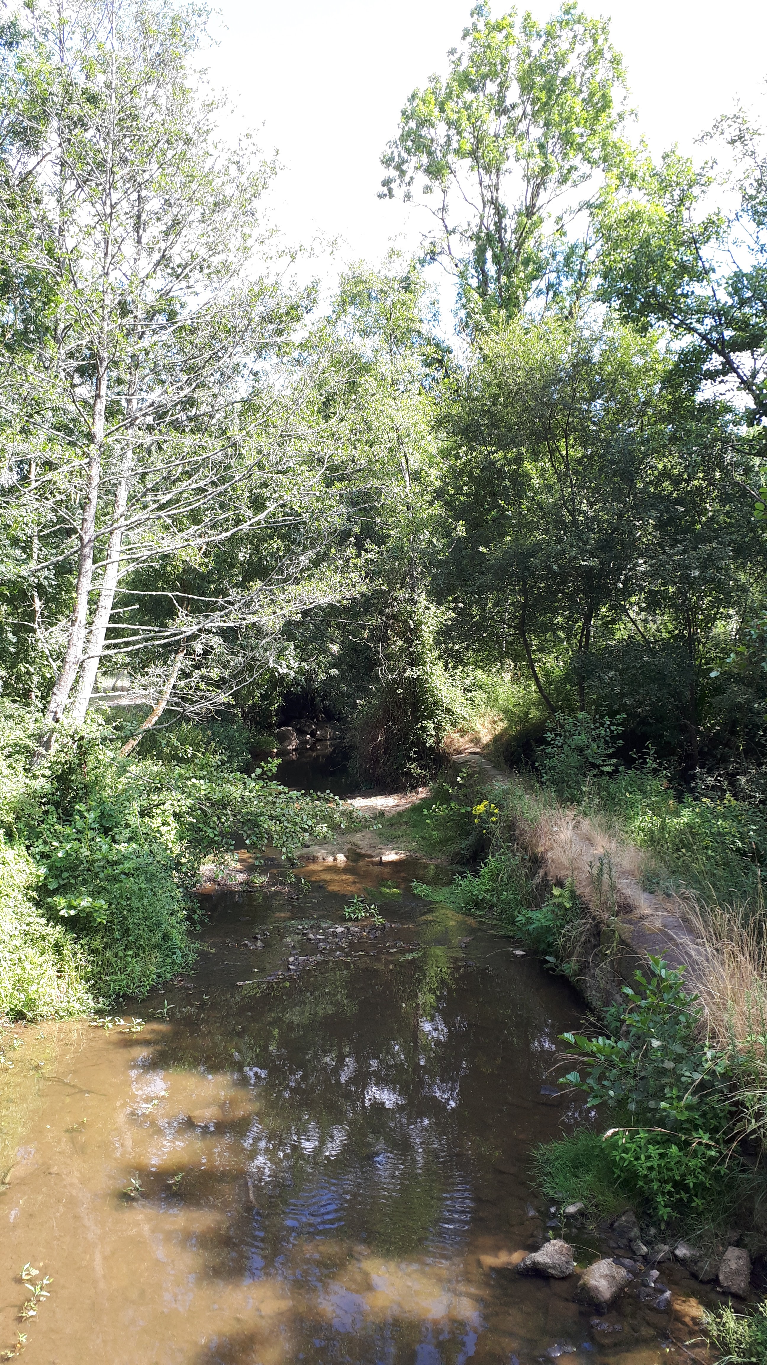 Photo n° 2 de l'avis de Sylvie.o fait le 14/07/2019 à 16:05
