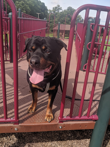 Park «Veterans Memorial Park», reviews and photos, 6328 State Road, Parma, OH 44134, USA