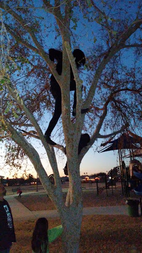 Park «Desert Star Park», reviews and photos, 8550 W Encanto Blvd, Phoenix, AZ 85037, USA