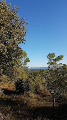 Domaine du Grand Jas à Entrecasteaux