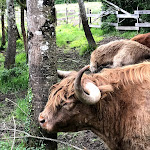 Photo n° 1 de l'avis de Moi.o fait le 18/05/2019 à 16:14 pour Réserve naturelle nationale du marais de Lavours à Ceyzérieu