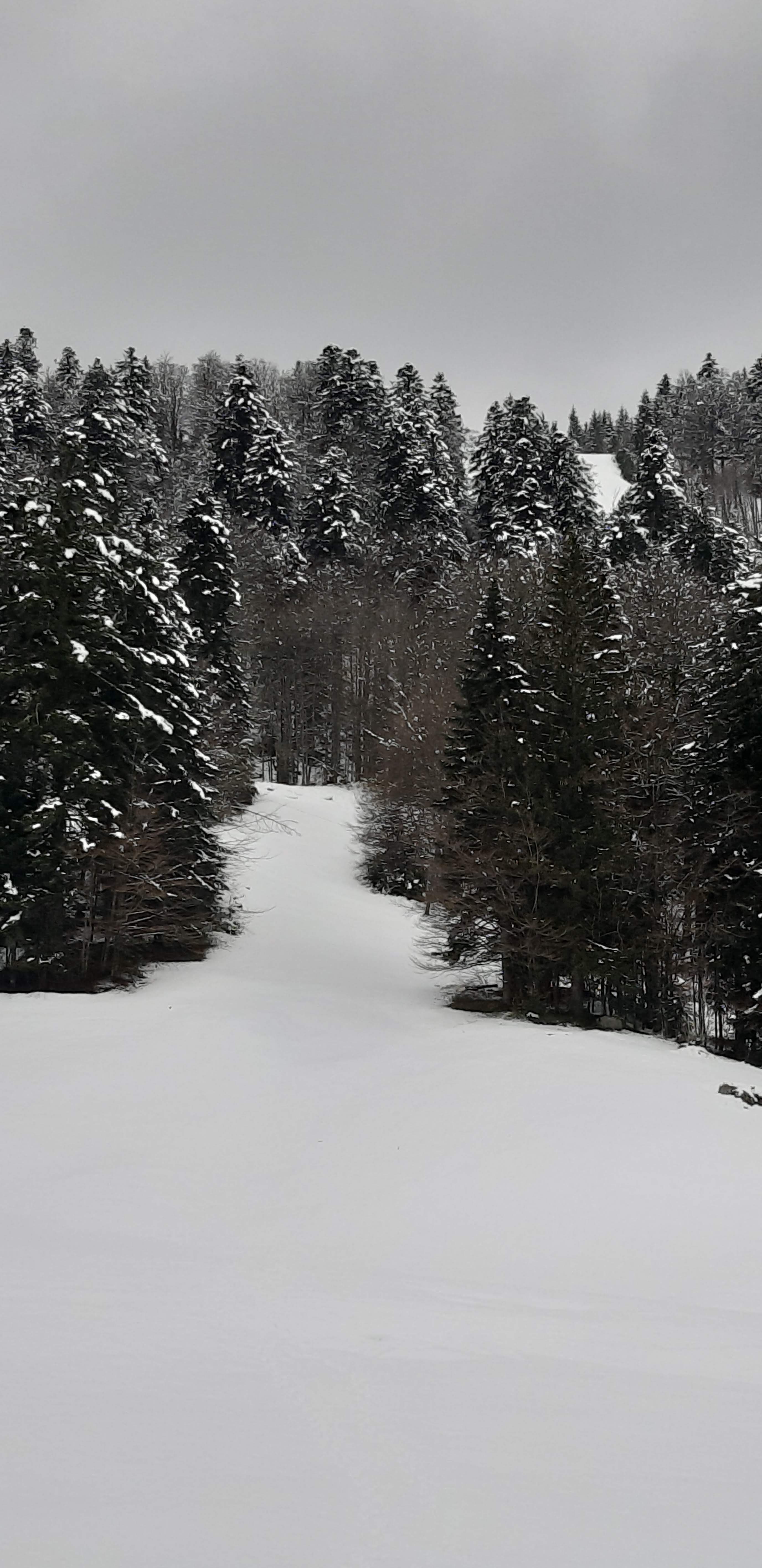 Photo n° 46 de l'avis de betty.o fait le 14/04/2019 à 10:33
