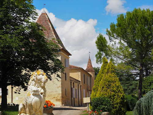 Domaine du château Larroque à Sainte-Christie