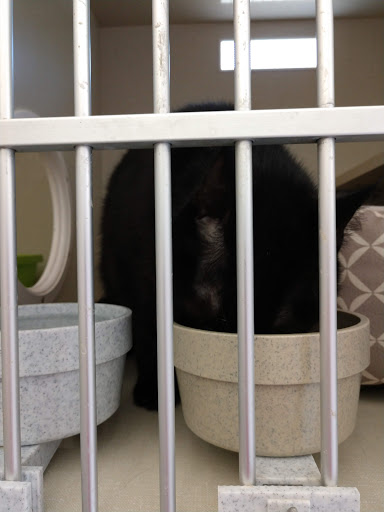 Pet Supply Store «Petco Animal Supplies», reviews and photos, 317 Boardman Poland Rd, Boardman, OH 44512, USA