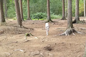 Hundeauslaufzone Tangstedter Forst image