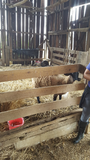 Tourist Attraction «Middleton Farm», reviews and photos, 13250 Cedar Hill Pl, Waldorf, MD 20601, USA