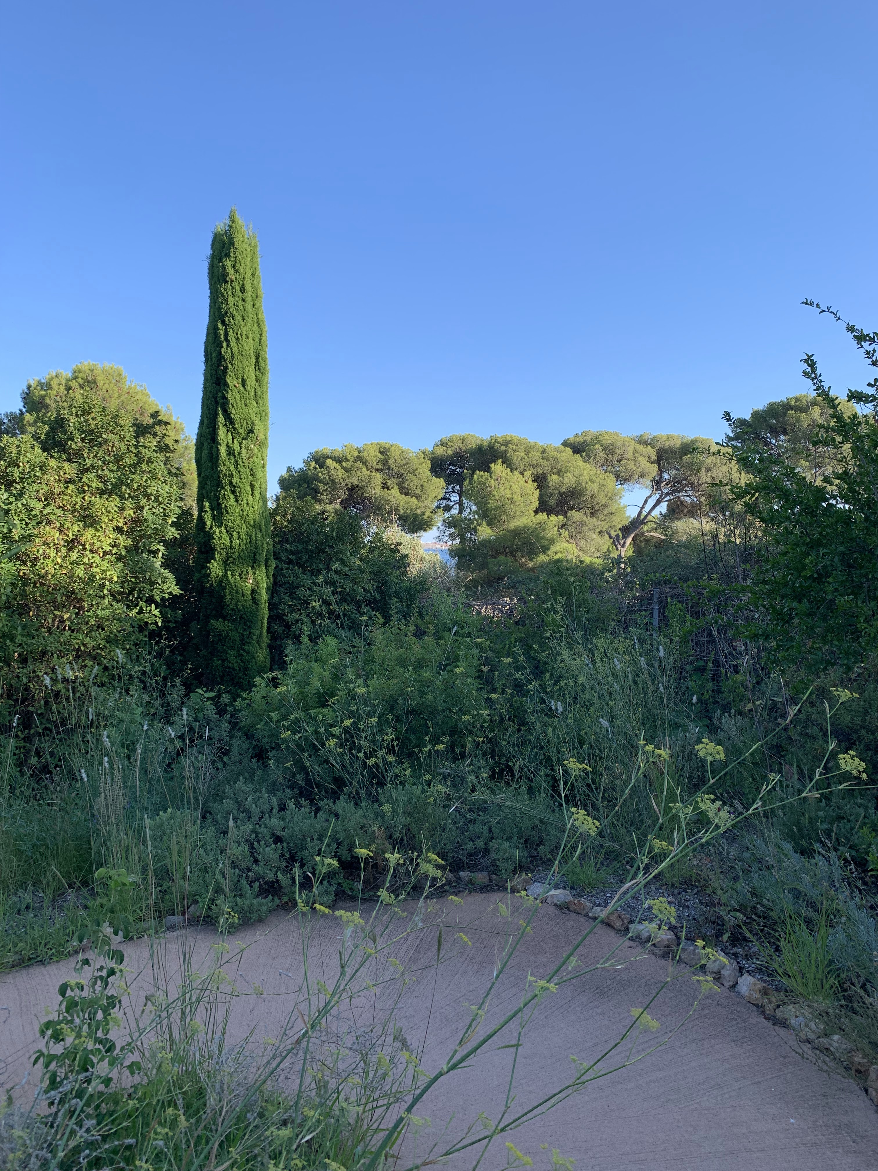 Photo n° 1 de l'avis de SEMEXANS.A fait le 29/08/2021 à 17:36
