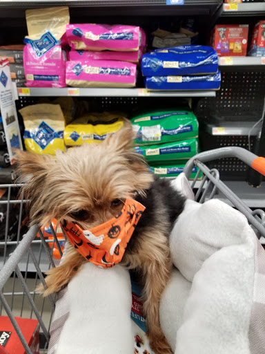 Department Store «Walmart Supercenter», reviews and photos, 1840 S Black Horse Pike, Williamstown, NJ 08094, USA