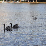 Photo n°2 de l'avis de Rose.i fait le 01/10/2021 à 07:40 sur le  Gaststätte Reimann à Bernburg