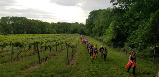 Vineyard «The Winery at Wolf Creek», reviews and photos, 2637 S Cleveland Massillon Rd, Barberton, OH 44203, USA