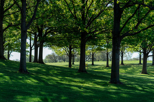 Corporate Campus «JCPenney Headquarters», reviews and photos, 6501 Legacy Dr, Plano, TX 75024, USA