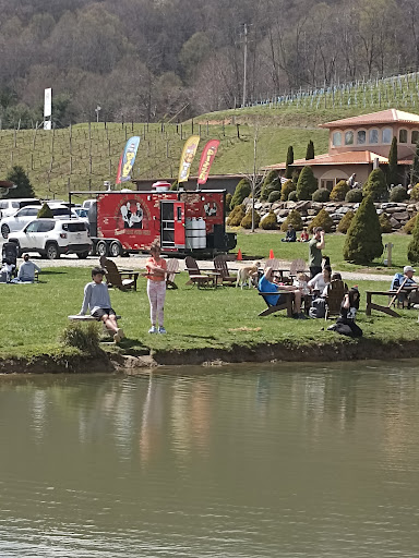 Vineyard «Linville Falls Winery», reviews and photos, 9557 Linville Falls Hwy, Newland, NC 28657, USA