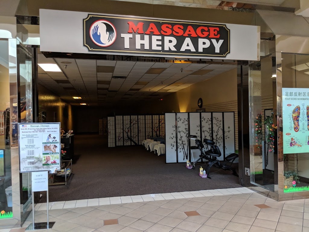 Massage Therapy 18702