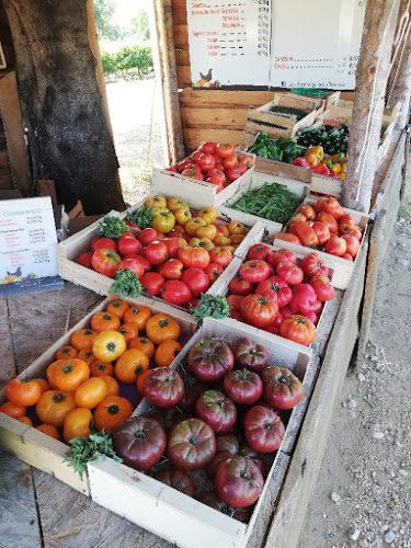 La Ferme de l'Estau - Producteurs de fruits & légumes - Volaille - Produit locaux à Visan