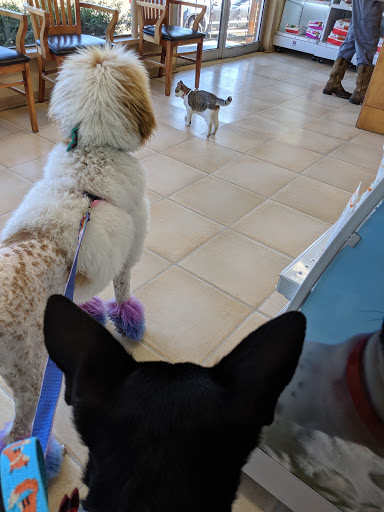 Holt Animal Hospital image