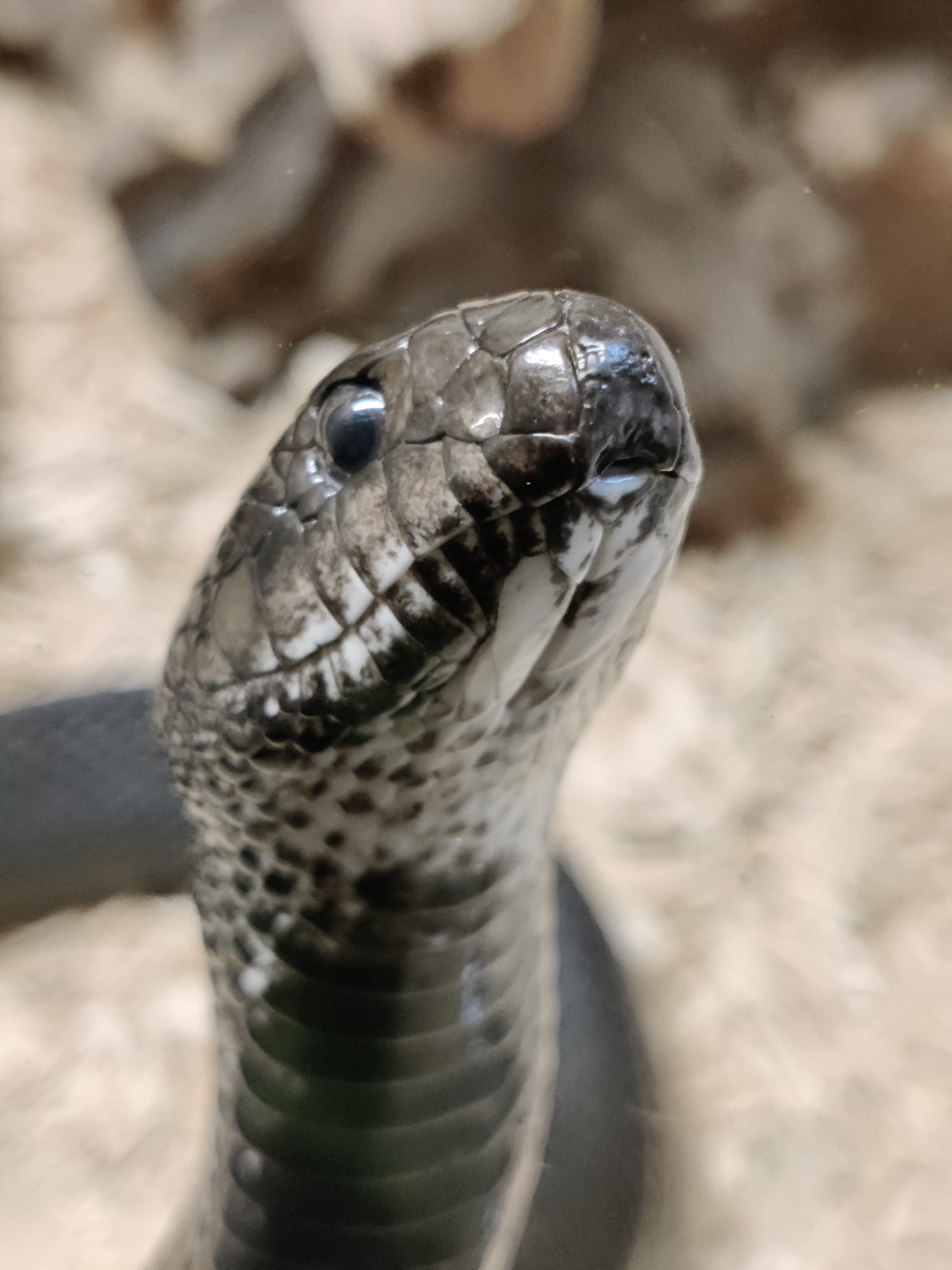 Photo n° 1 de l'avis de Anne.a fait le 03/11/2023 à 15:51