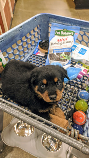 Pet Supply Store «PetSmart», reviews and photos, 4794 Jimmy Lee Smith Pkwy #108, Hiram, GA 30141, USA