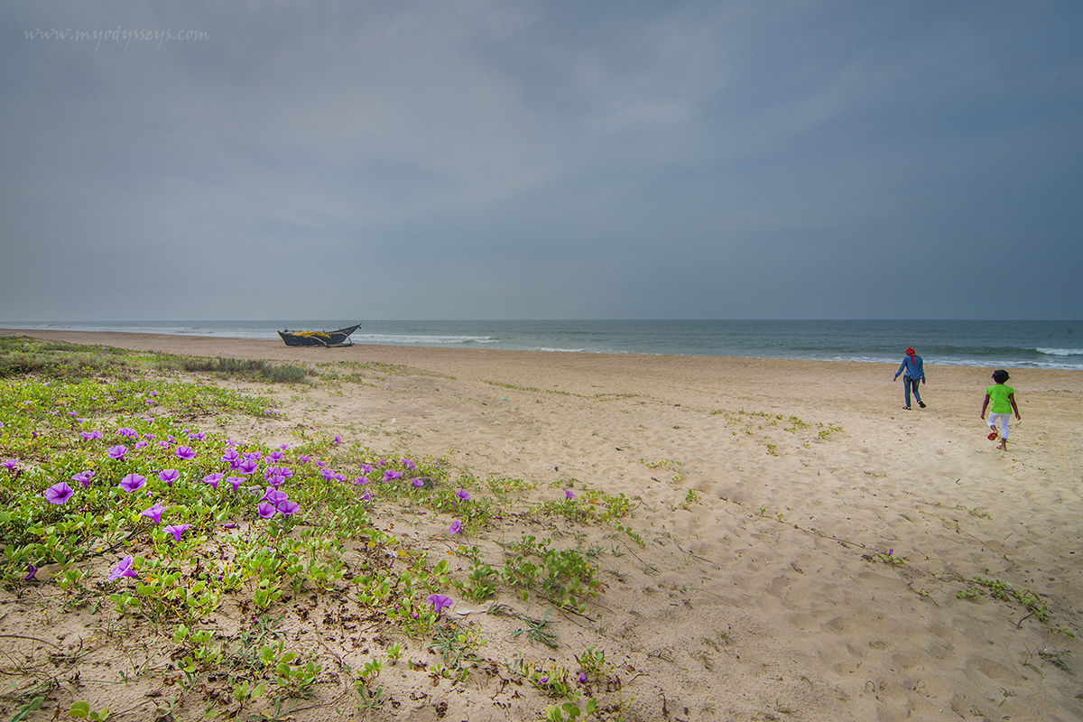 Photo of Varca Beach amenities area