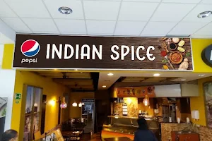 INDIAN SPICE image