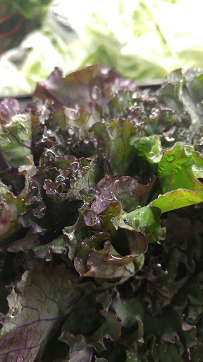 Grocery Store «Safeway», reviews and photos, 1313 Londontown Blvd, Eldersburg, MD 21784, USA