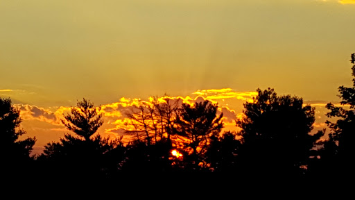 Golf Course «Chantilly National Golf & Country Club», reviews and photos, 14901 Braddock Rd, Centreville, VA 20120, USA