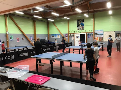 La Richardais Ping-Tennis de table proche de Dinard à La Richardais