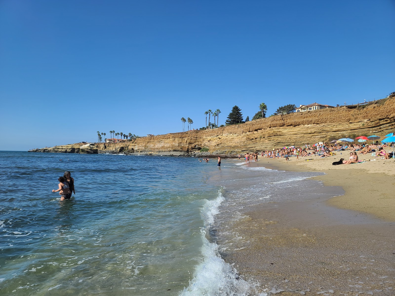 Foto de Sunset Cliffs beach com areia bege superfície