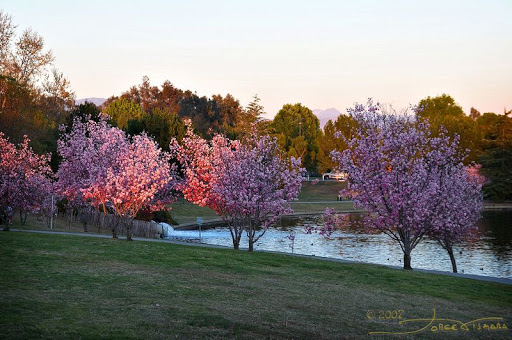 Park «Lake Balboa/Anthony C. Beilenson Park», reviews and photos, 6300 Balboa Blvd, Van Nuys, CA 91406, USA