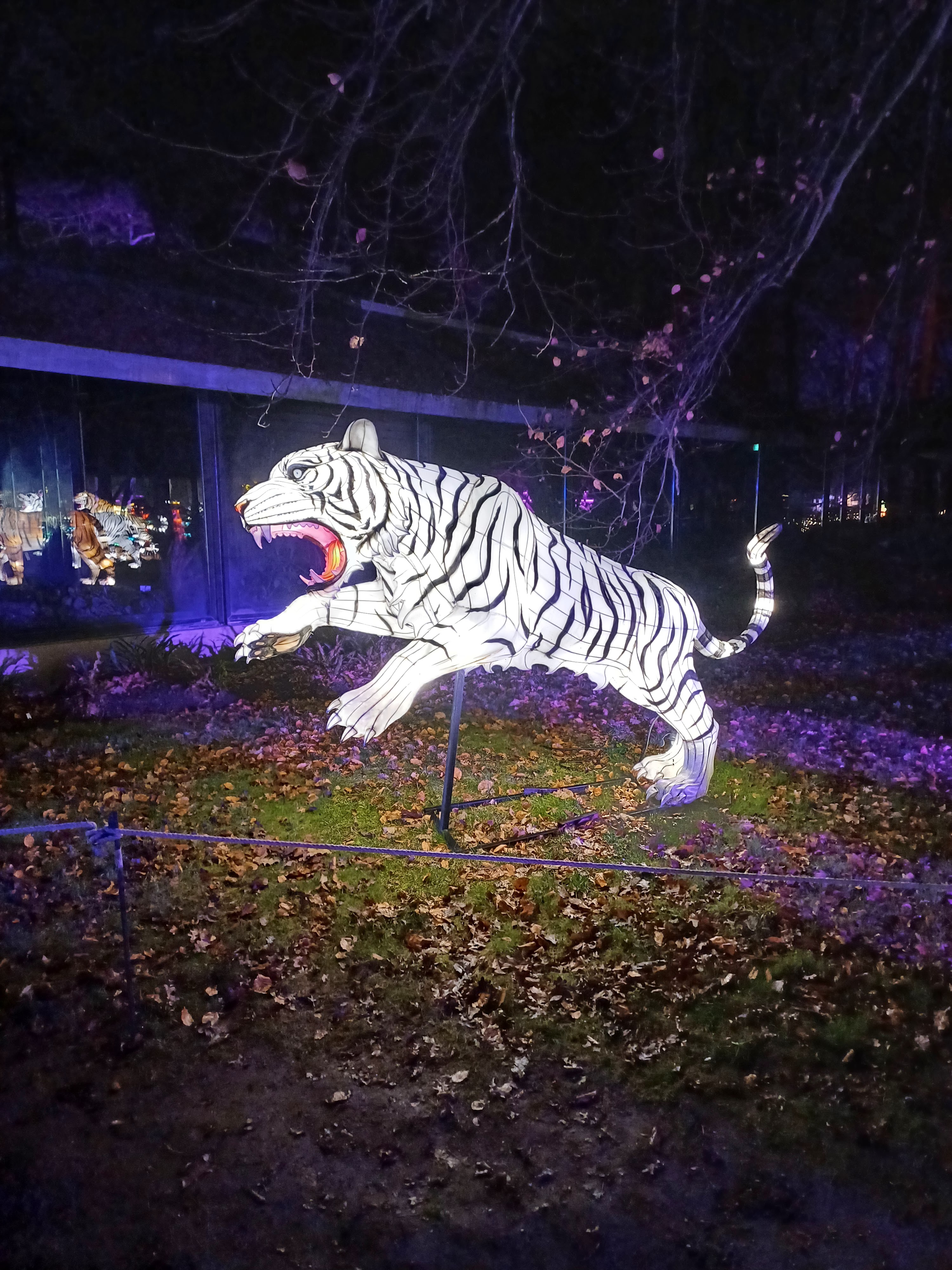 Photo n° 5 de l'avis de Audrey.s fait le 28/12/2023 à 14:37