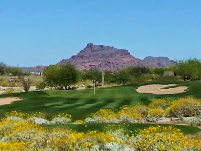 Photos of Longbow Golf Club