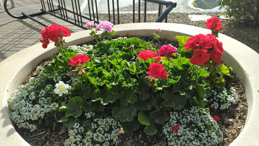 Movie Theater «AMC DINE-IN Esplanade 14», reviews and photos, 2515 E Camelback Rd, Phoenix, AZ 85016, USA