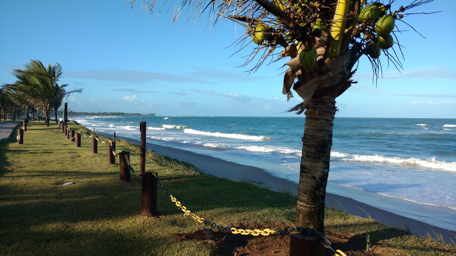 Praia de Jenipabu photo #8