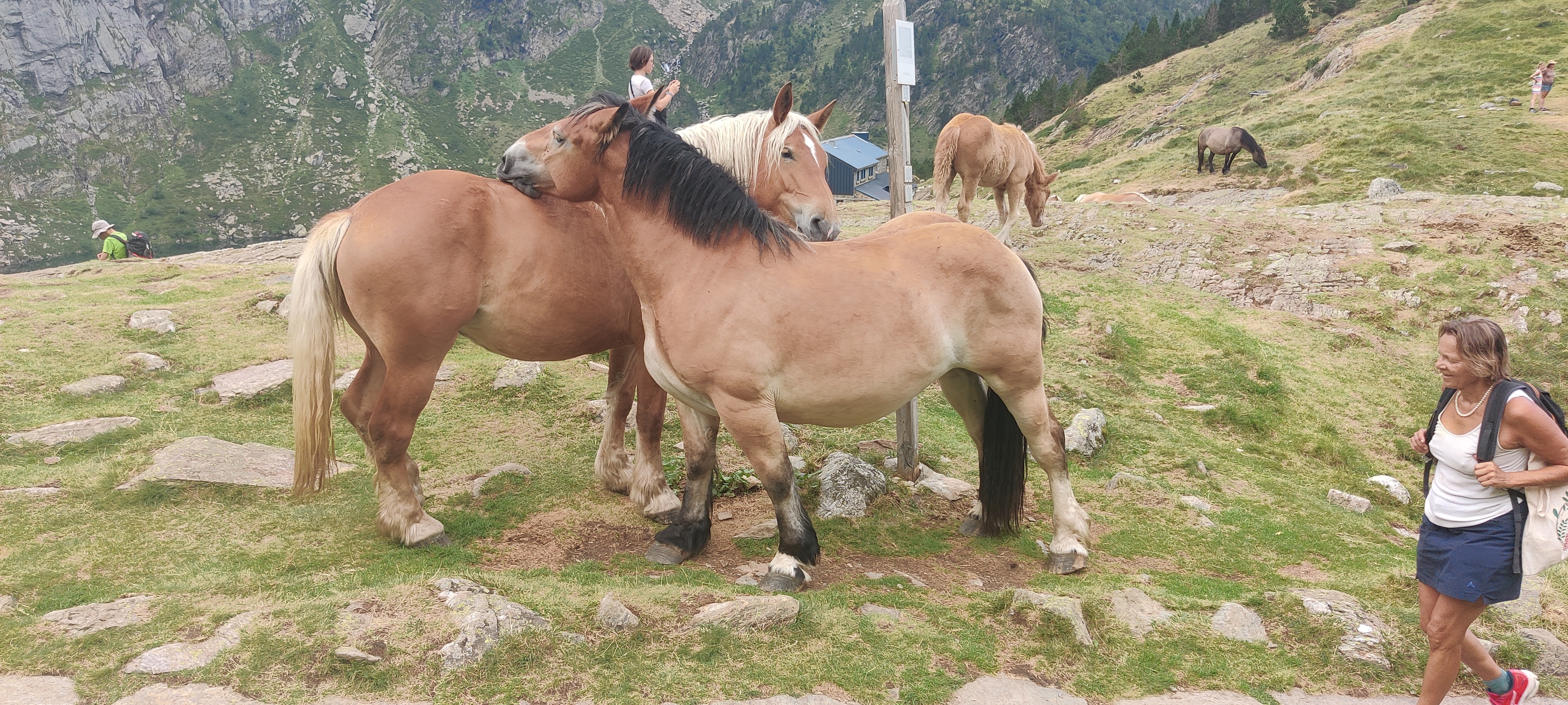 Photo n° 2 de l'avis de lucelia.h fait le 09/08/2022 à 18:31
