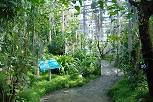Garden National Botanical Conservatory of Brest image