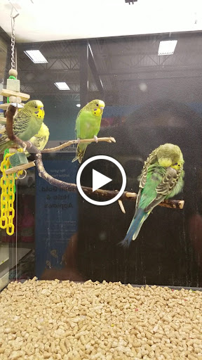 Pet Supply Store «PetSmart», reviews and photos, 625 W Crossville Rd, Roswell, GA 30075, USA
