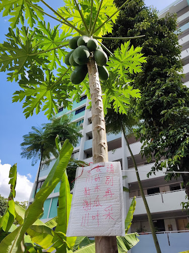 Opinii despre TOUCHpoint@AMK 433 în Singapore - Other