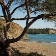 Phaselis beach