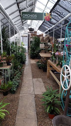 Florist «Victor Hlavacek Florist», reviews and photos, 746 Green Bay Rd, Winnetka, IL 60093, USA