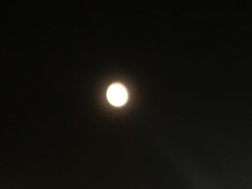 Storage Facility «Extra Space Storage», reviews and photos, 191 N Wilson Rd, Columbus, OH 43204, USA