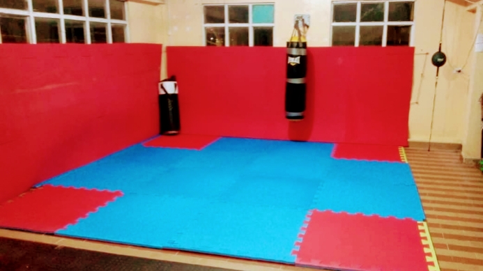 Minotaurus mma
