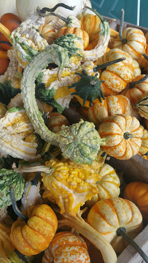 Moving and Storage Service «My Space Office & Storage», reviews and photos, 1657 S Getty St, Muskegon, MI 49442, USA