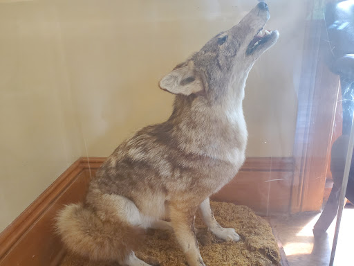 Learning Center «Trailside Museum of Natural History», reviews and photos, 738 Thatcher Ave, River Forest, IL 60305, USA