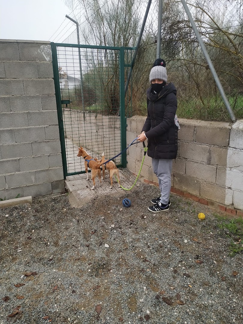 Centro Municipal De Recogida De Animales Aranjuez