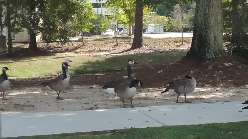Coffee Shop «Starbucks», reviews and photos, 206 Lake Dr, Covington, LA 70433, USA