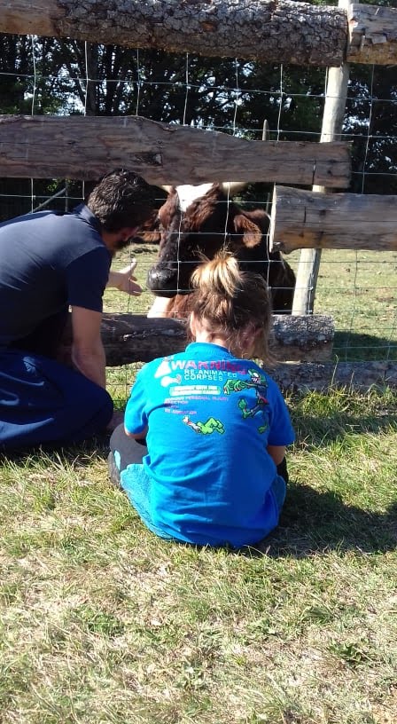 Photo n° 12 de l'avis de lusignan.n fait le 26/10/2018 à 04:59